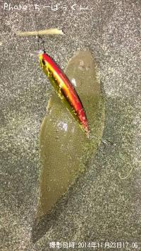 ¥·¥¿¥Ò¥é¥á