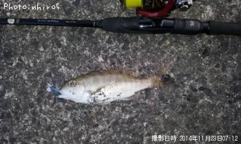 �ե��ե�����