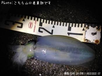 �����ꥤ��