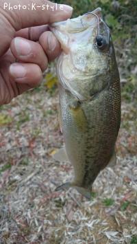 �֥�å��Х�