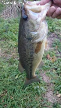 �֥�å��Х�