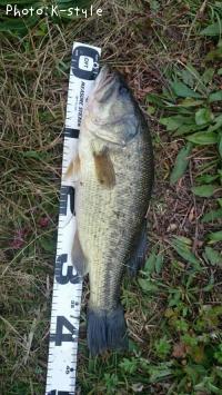 �֥�å��Х�