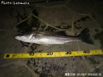 �����Х�