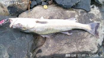 �����Х�