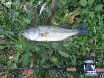 �֥�å��Х�