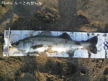 �����Х�