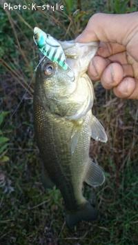 ¥Ö¥é¥Ã¥¯¥Ð¥¹¡¡