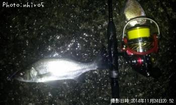 �ҥ饻����