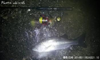 �ҥ饻����