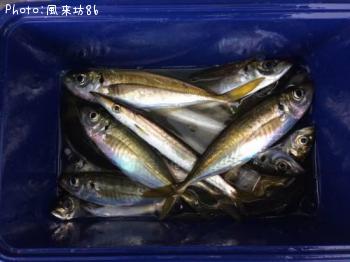 ���������ޥ�