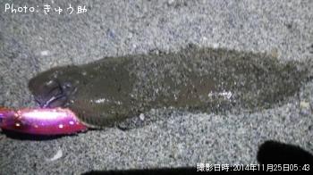 �����ҥ��