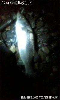 �ҥ饹����