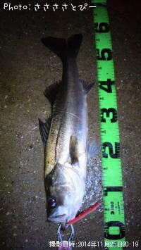 �����Х���