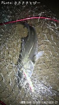 �����Х���