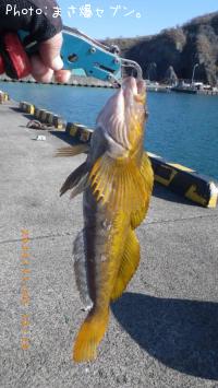 �����ʥ�