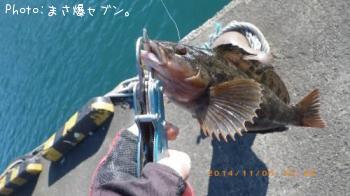 �����ʥ�