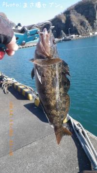 �����ʥ�