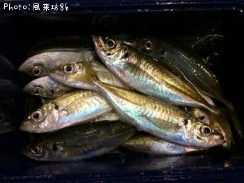 ¥¢¥¸¡õ¥«¥Þ¥¹¡õ¥à¥Ä