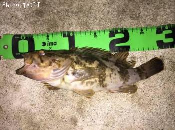 ¥¿¥±¥Î¥³¥á¥Ð¥ë