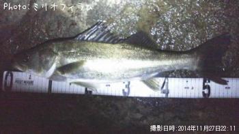 �����Х�