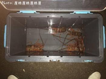 ���ꥬ�ˡʾС�