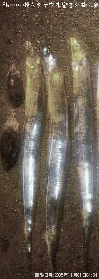 ������������������