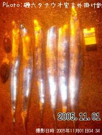 ������������������