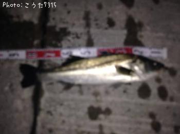 �����Х�