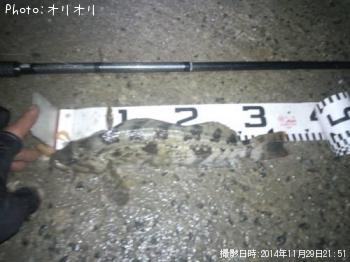 �����ʥ�