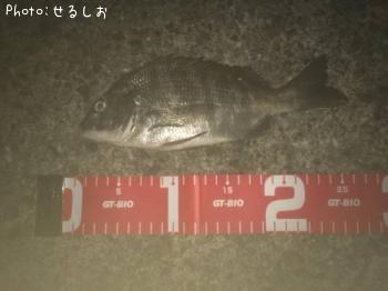 ¡ù¥¥Ó¥ì¥Á¥Ì¡ù