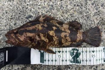 �����Υ���Х�