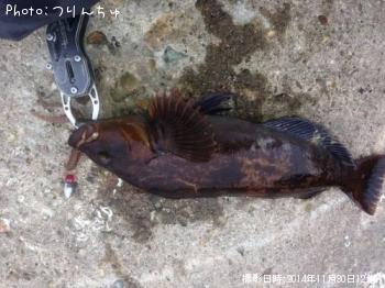 �����ʥ�