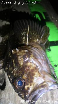 ��������Х�