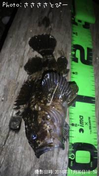 ��������Х�