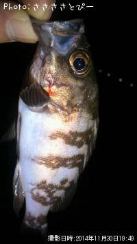 ��������Х�