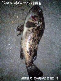 �����Υ���Х�