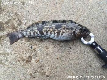 �����ʥ�