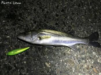 �����Х�