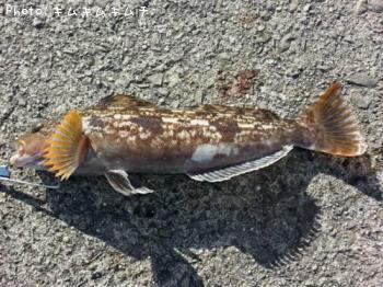 �����ʥ�