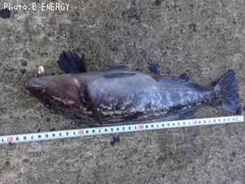 �����ʥ�