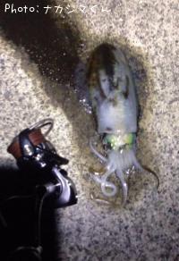 �����ꥤ��