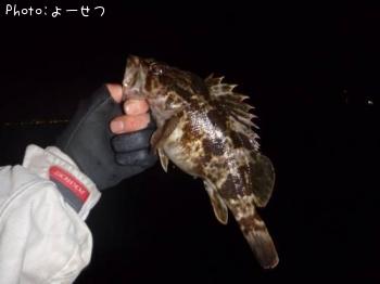 �����Υ���Х�