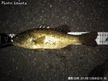 �֥�å��Х�