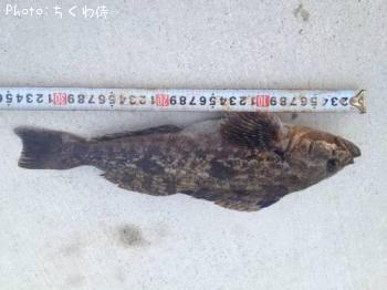 �����ʥ�