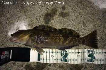 �����ʥ�