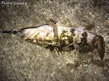 ¥¿¥±¥Î¥³¥á¥Ð¥ë