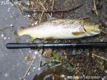 ¥Ö¥é¥¦¥ó¥È¥é¥¦¥È