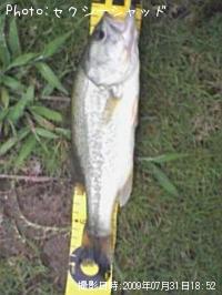 �֥�å��Х�