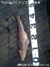 �����ʥ�