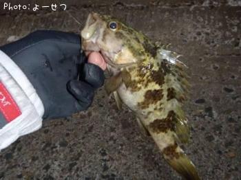 �����Υ���Х�